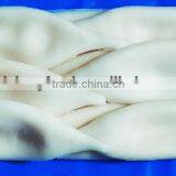 Stock Available Frozen Squid Tube U5/7/10 thumbnail-1