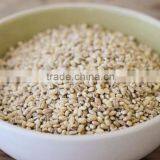 Jobs Tear thumbnail-1