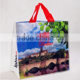 2015 China Wholesale Recycle pp Woven Shopping Bags With Double Zipper,fashion Woman Bag, thumbnail-3