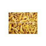 Fresh Yellow Turmeric thumbnail-1