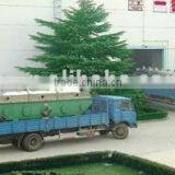 GZQ Rectilinear Vibrating-Fluidized Dryer Used in Lees Seed