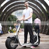 Two Wheels Harley style Cool Sport Electric Scooter/Motorbike Citycoco