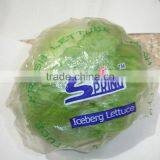 Wholesale Green Fresh Lettuce Yunnan Origin Lettuce thumbnail-2