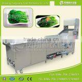 PT-2000 Automatic Stainless Steel Leafy Vegetable Blanching Machine thumbnail-2