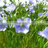 China Supplier Organic Flaxseed Oil (alpha Linolenci Acid) Omega 3 Oil Refined thumbnail-2