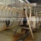 High Quality Broiler Chicken Slaughter /poultry Processing Machine/poultry Slaughter Line 008618052092685 thumbnail-5