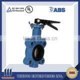 DN3450 PN104 WCA Butterfly Valve thumbnail-3