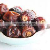 Palm Dates Multiple Layer Continuous Type Mesh Belt Dryer thumbnail-4