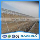 Cheap Agricultural Single Tree Greenhouse thumbnail-3
