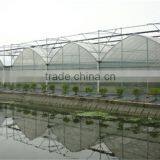 Galvanized Tube Structure Multi-Span Greenhouse Used for Growing Plantings thumbnail-6