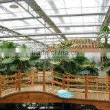 Horticulture Construction High Glass Covered Commercial Greenhouse For Entertainment thumbnail-2
