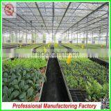 Hard and Durable Steel Profiles Polycarbonate Sheet Greenhouses for Sale thumbnail-3