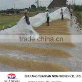 PP Spunbonded Nonwoven Fabric for Agriculture