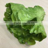 Artificial Romaine Lettuce Cos Lachca Sativa E09 02 thumbnail-3