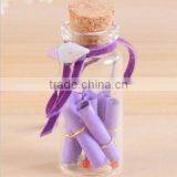 New Design Glass Wishing Bottle With Wooden Lid