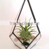 Kure Beach Sea Shells Black Metal Pyramid Ionantha Air Plant Glass Terrarium thumbnail-1
