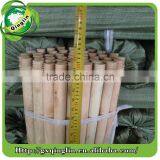 Poplar Handle for Brooms, Spade, Shovel and Mop thumbnail-4