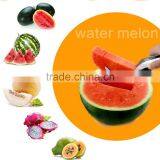 Stainless Steel Melon Slicer Watermelon Knife Melon Cutter Corer Server Splitter Cantaloupe Cutting Seeder Slicer Scoop KC1343 thumbnail-5
