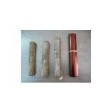 Pakistan Razor Shell, Bombo Clam thumbnail-1