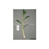 Artificial Vegetable(Leek) thumbnail-1