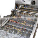 Commercial Vegetable Washer/Air Bubble Vegetable Washing Machine thumbnail-2