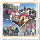 Shaanxi Sinuote Bio-tech Co., Ltd company overview - view 2 thumbnail