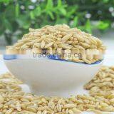 Shelled Unshelled Organic Peanut From Supplier thumbnail-1