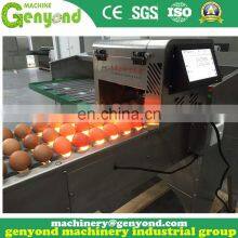 Brand New Automatic Egg Sorting Machine thumbnail-2