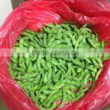 Frozen Soybean thumbnail-3