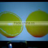 Support 1080P Video 800:1 Contrast Ratio Portable Mini Blue/Red 3D Projector thumbnail-5