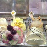 XSFLG Gelato Tray, Popsicle Plastic Tray, Ice Cream Tray thumbnail-2
