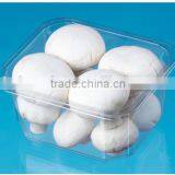 China Manufacturer Plastic Vacuum Forming Fresh Meat Fruit Disposable Plastic Food Container thumbnail-2