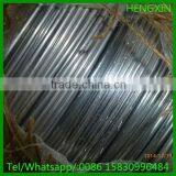 Hot Sale Electro Galvanized Iron Wire and Hot Dip Galvanized Iron Wire