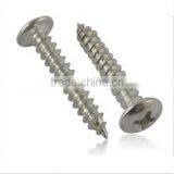 China Factory Pan Head Tamper Proof Self Tapping Screw
