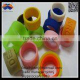 Fashionable Customized High Quality OEM Silicone Rubber Ring Silicone Rubber Ring Mould thumbnail-4