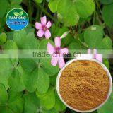 Natural Alfalfa Extract of High Quality Flavone