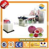 Weihai E-Fashion PE Foam Fruit Net Extruder