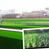 Grass Height 50mm/artificial Grass for Football Field