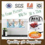 New Material PET 1.5mm No Frame Picture 2014 New Design Lenticular Excellent Quality 3d Pictures