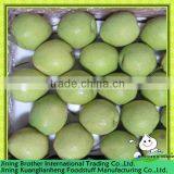 Fresh Shandong Pear Price thumbnail-1