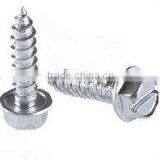 Stainless Steel Tapping Screw