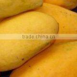 Fresh Pakistani Mango With Approved EU Quality Standards thumbnail-3