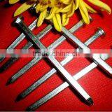 Togo Market Well Sell Big Quantity Wire Nails