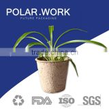 Paper pulp seedling cup flower/vegetable plant bio-degradable pot