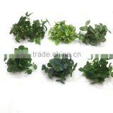 Artificial Mini Plant Garden Wall Decor