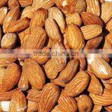 Almond Kernels thumbnail-1
