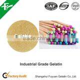 China Supply Best Price for Industrial Gelatin thumbnail-2