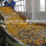 Citrus Processing Line for Produce Orange Juice thumbnail-3