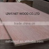 5.0mm cheap plywood from China plywood factory