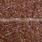 Oil Seed Linseed thumbnail-1